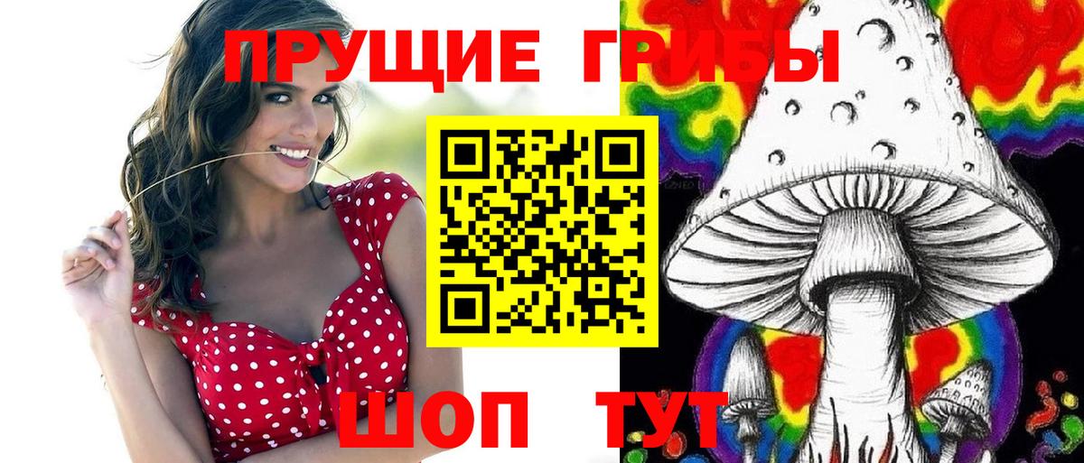 Псилоцибиновые грибы Psilocybine cubensis  Вход с VPN  Камышин 