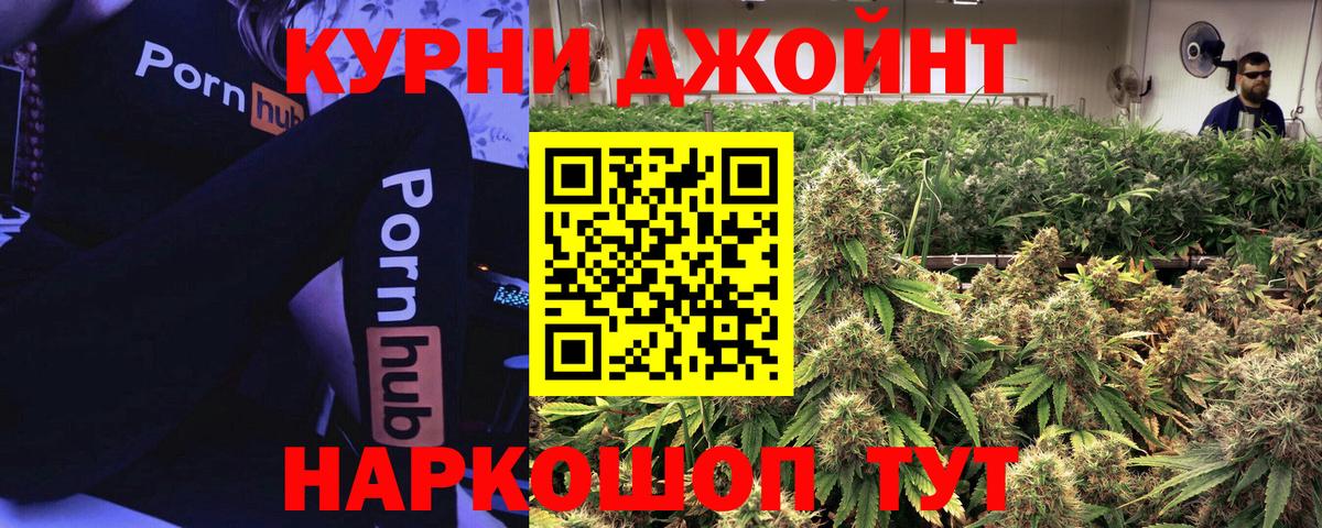 Шишки марихуана тримм  Вход с VPN  Камышин  Каннабис сатива 